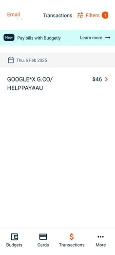 Screenshot_20250226_145124_Budgetly