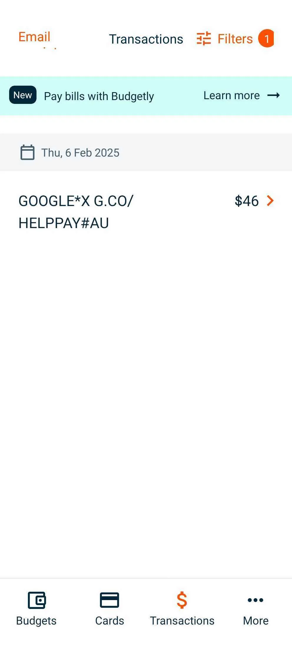 Screenshot_20250226_145124_Budgetly